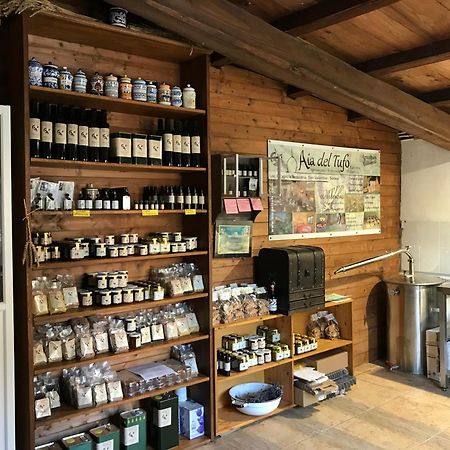 Bio Agriturismo Aia Del Tufo ソラーノ エクステリア 写真